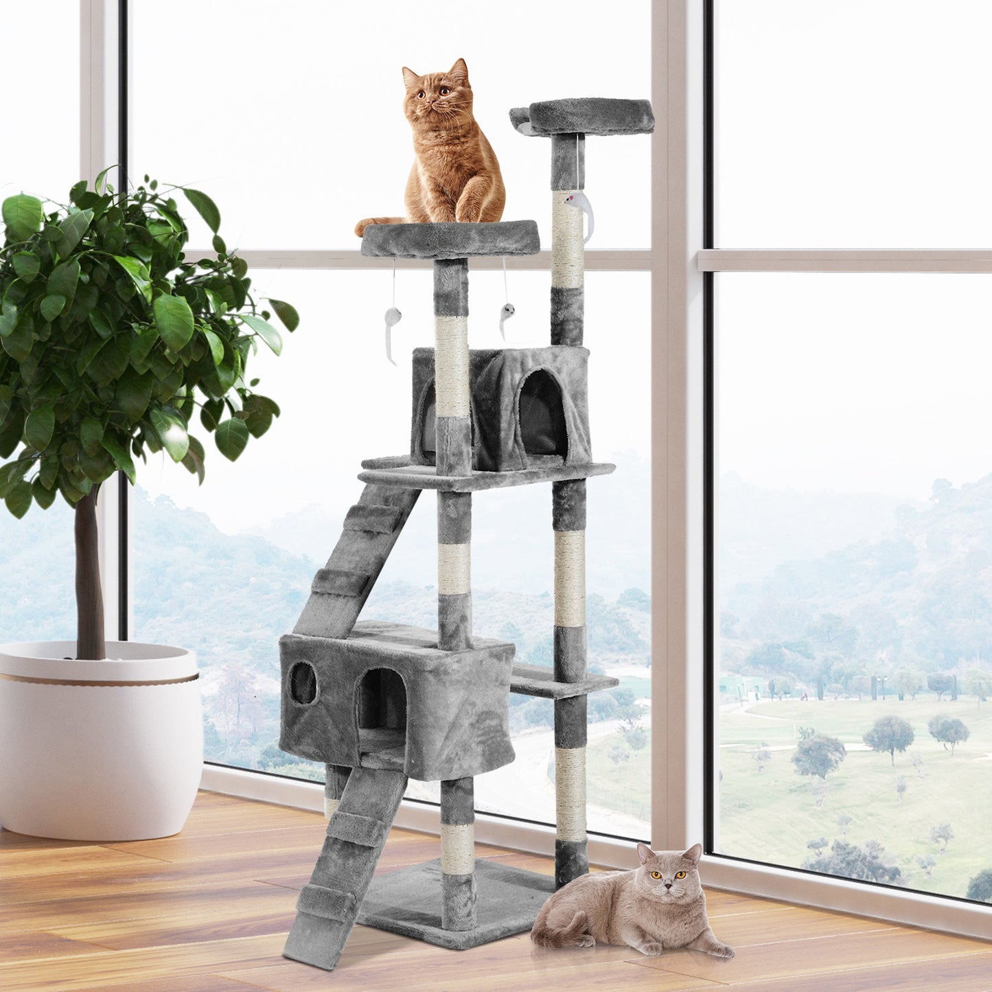 Multi-Level Cat Scratching Tree